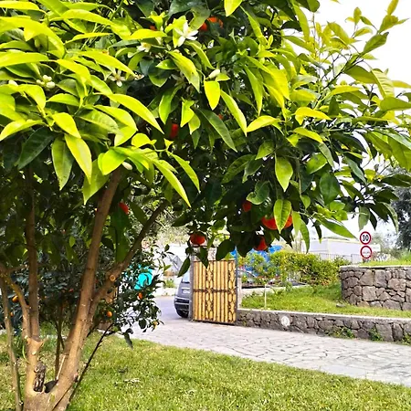 Angelo Ischia