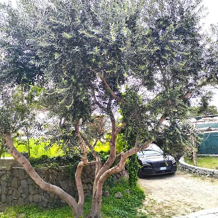 Villa Angelo *
